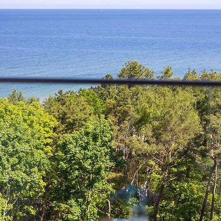 Prestige Pinea 713 - Easy - Rent